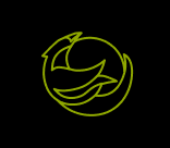 RavenX